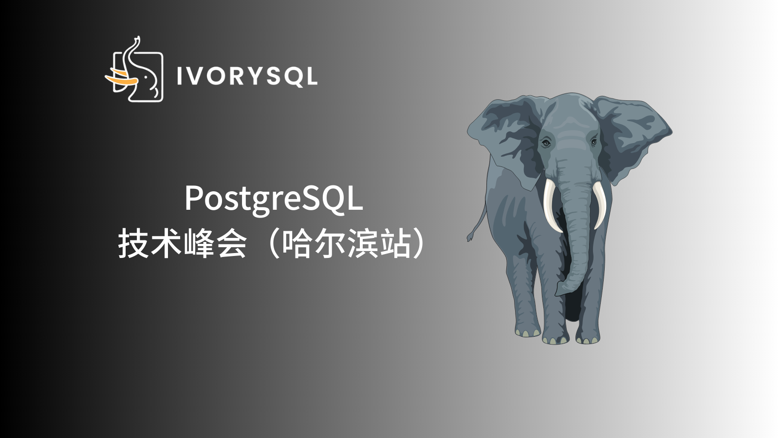 PostgreSQL 技术峰会哈尔滨站活动回顾｜深度参与 IvorySQL 开源社区建设的实践与思考