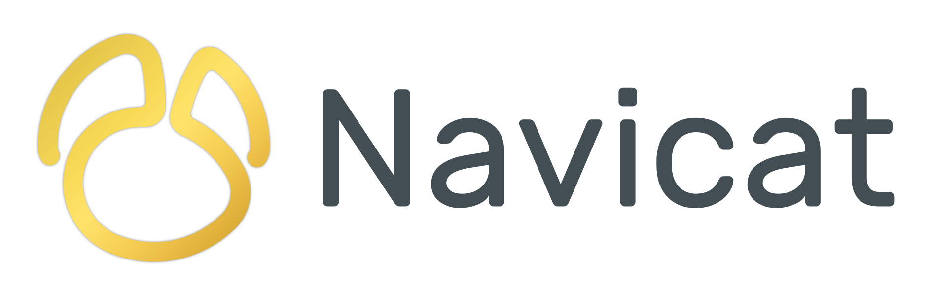 Navicat logo