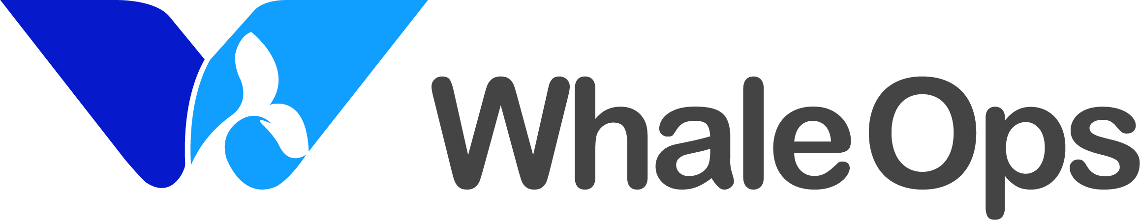 WhaleOps logo